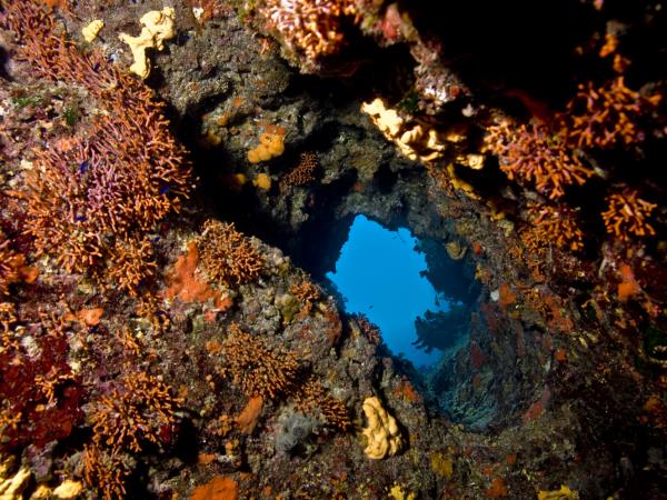 Liveaboard diving and sailing holiday in Greece