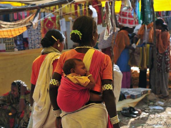 Central India cultural and wildlife tour, tigers & tribes