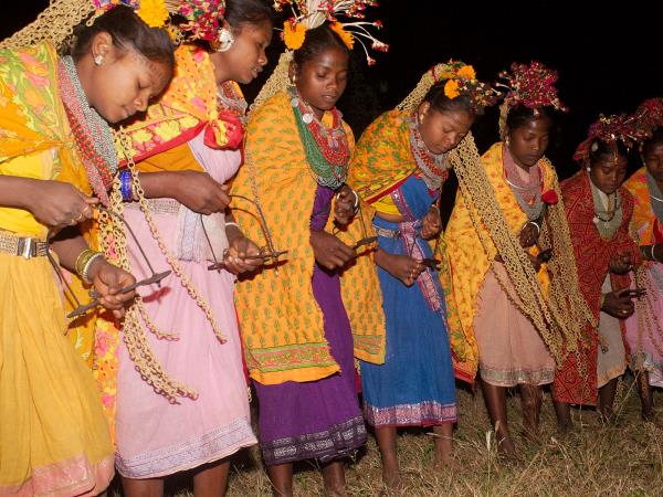 Central India cultural and wildlife tour, tigers & tribes