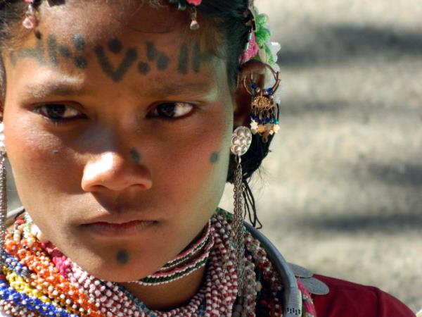 Central India cultural and wildlife tour, tigers & tribes