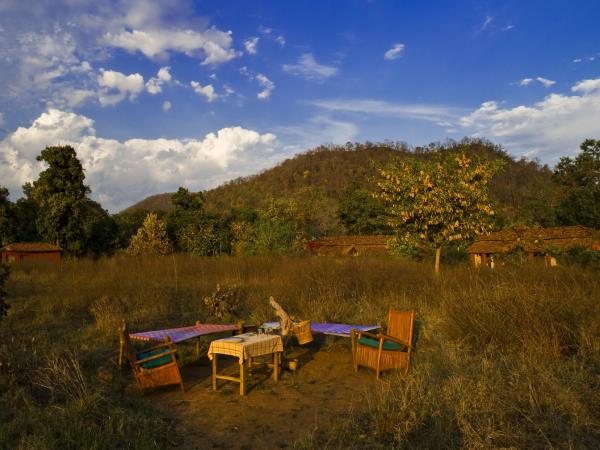 Central India cultural and wildlife tour, tigers & tribes