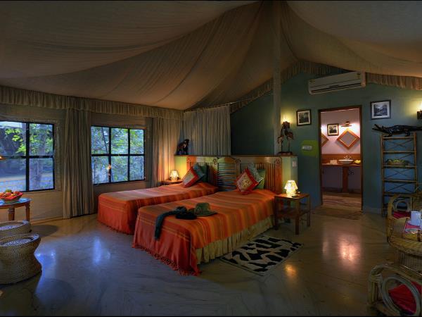 Central India cultural and wildlife tour, tigers & tribes