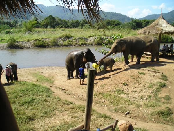 Couples therapy and life coaching holiday in Thailand