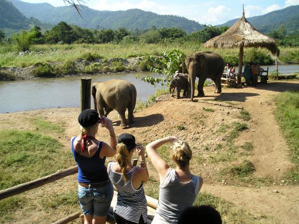 Couples therapy and life coaching holiday in Thailand