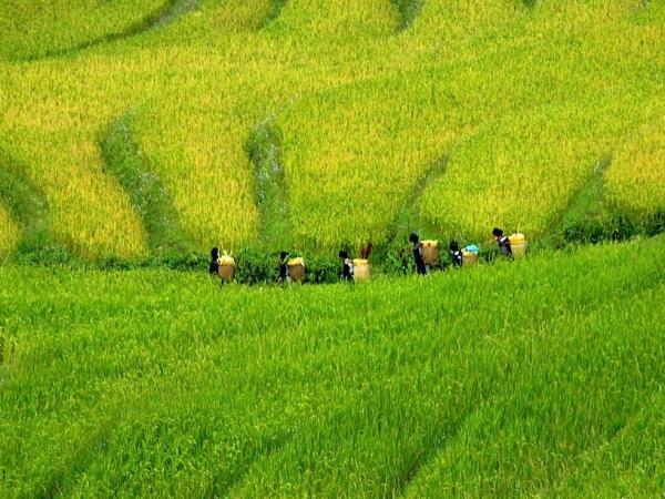 Family adventure holiday to Vietnam & Cambodia