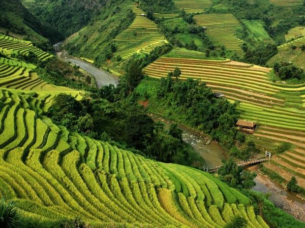 Family adventure holiday to Vietnam & Cambodia