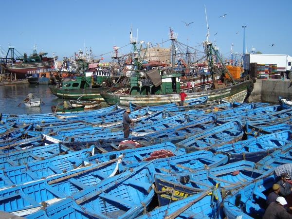 Exciting family holiday in Morocco