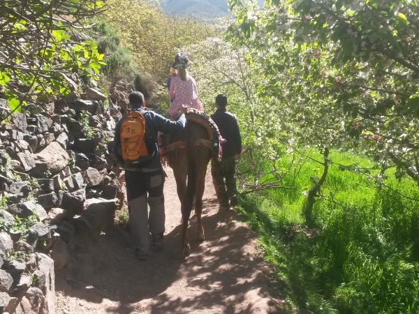 Exciting family holiday in Morocco