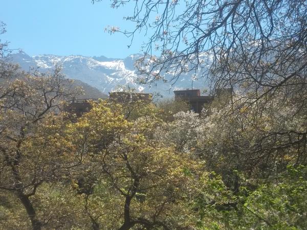Exciting family holiday in Morocco