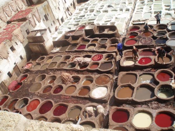 Exciting family holiday in Morocco
