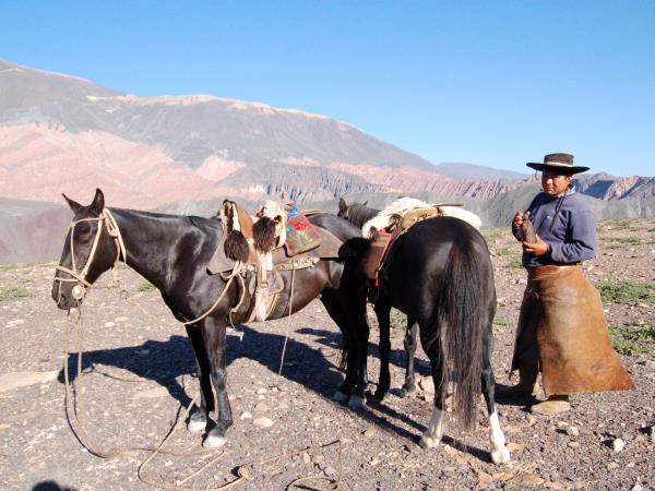 Horse riding and trekking in Argentina