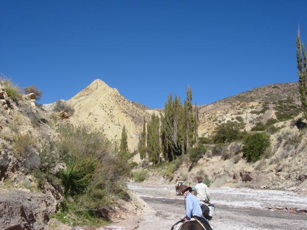 Horse riding and trekking in Argentina