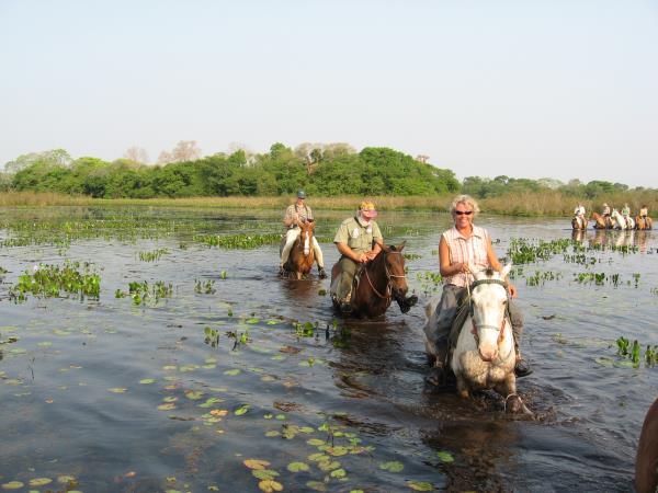 Brazil holiday, tailor made