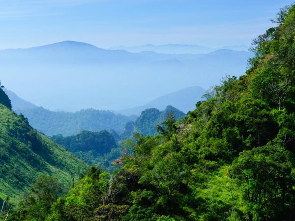 Counselling and Life Coaching Holiday in Northern Thailand