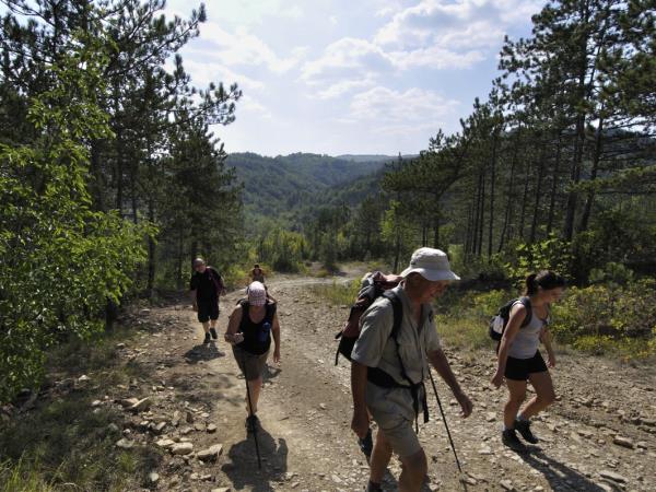 Croatia self guided walking holiday, Istria region