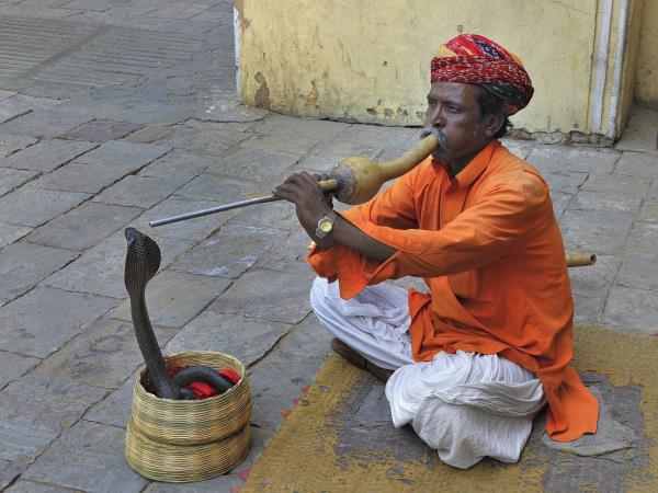 Golden Triangle tour in India, 7 days