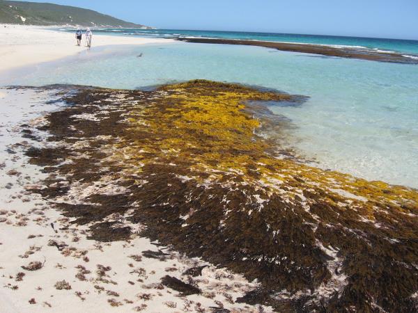 Cape to Cape self guided walking holiday in Western Australia