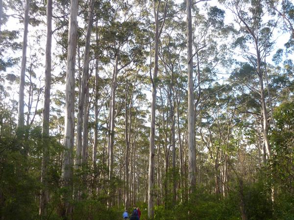 Cape to Cape self guided walking holiday in Western Australia