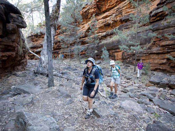 Walking holiday in Flinders Ranges, South Australia
