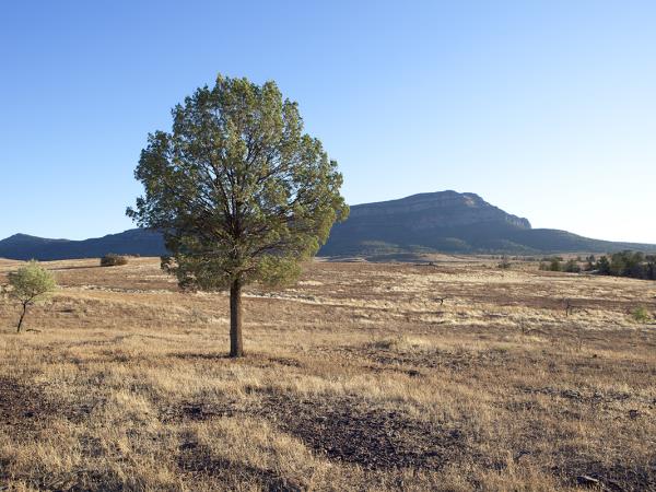 Walking holiday in Flinders Ranges, South Australia
