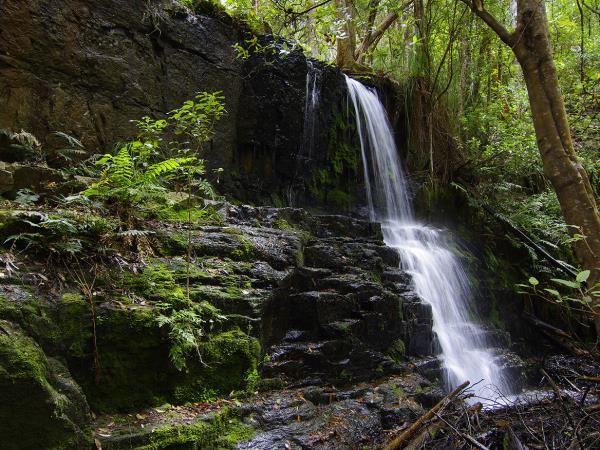 Tasmania coastal walking holiday, Australia