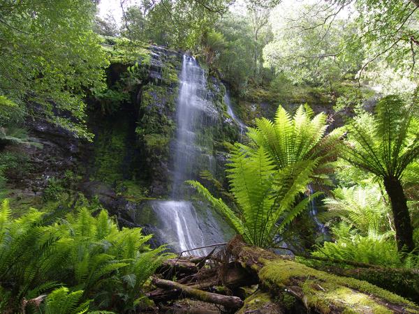 Tasmania wilderness walking holiday in Australia