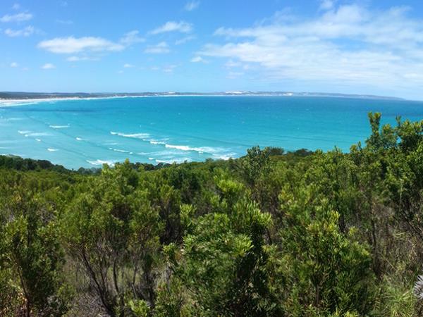 The Great South West Walk in Victoria, Australia