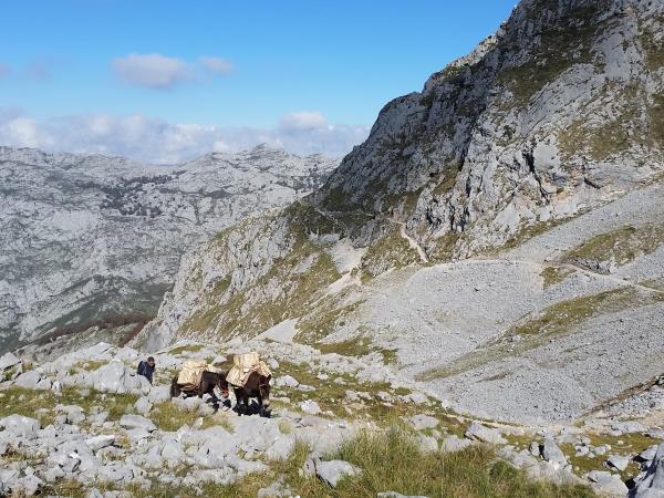 Picos de Europa self guided walking holiday, Spain