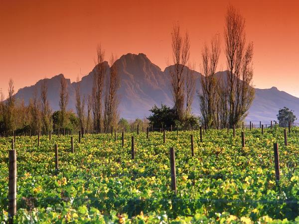 Classic South Africa self drive holiday