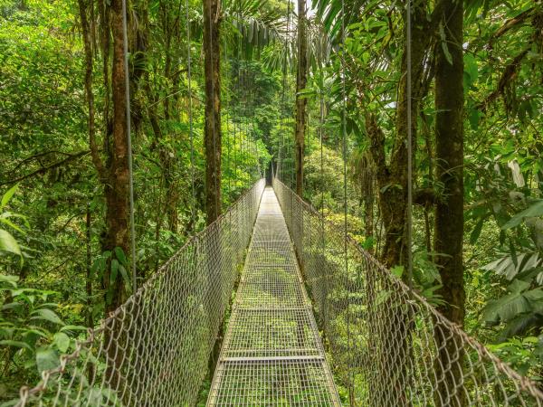Costa Rica tailor made holiday, vistas and volcanoes