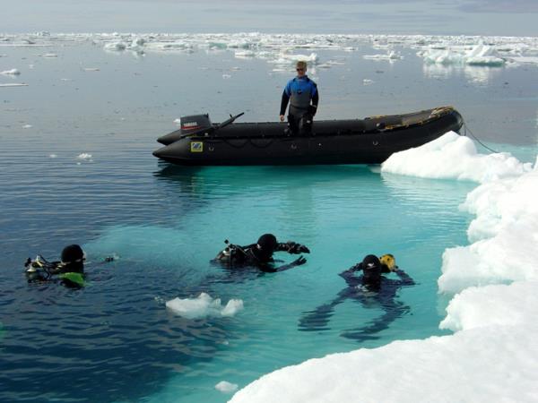 Antarctic diving expedition
