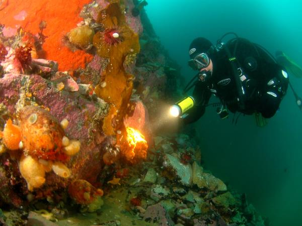 Antarctic diving expedition