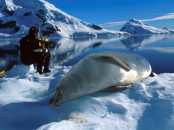 Antarctic diving expedition