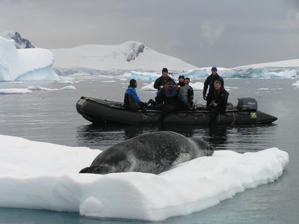 Antarctic diving expedition