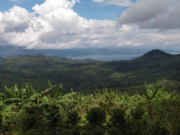 Gorilla safari & holiday in Rwanda, tailor made