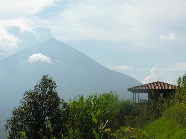 Gorilla safari & holiday in Rwanda, tailor made
