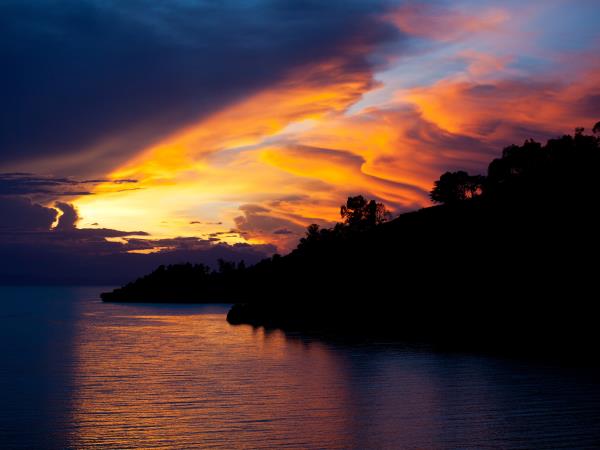 Gorilla safari & holiday in Rwanda, tailor made