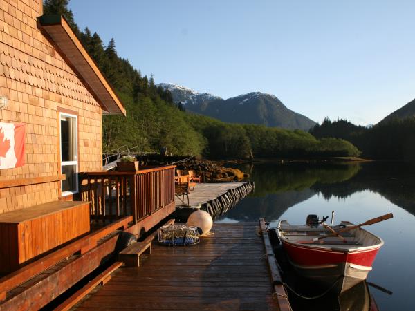 Grizzly bear watching holidays in British Columbia