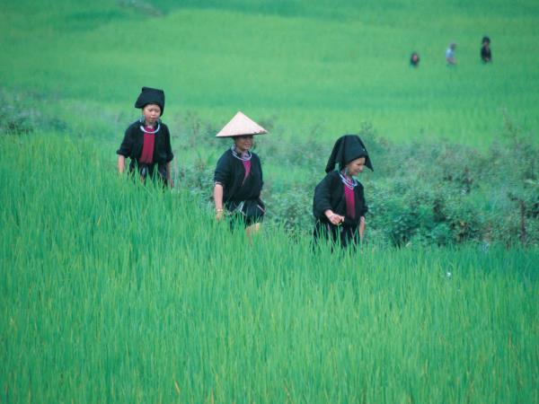Vietnam hill tribes holiday, tailor made