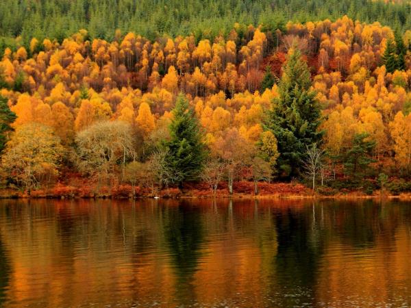 Caledonian Canal cruise in Scotland, via Loch Ness | Responsible Travel