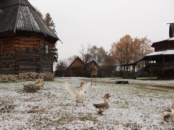 Russia golden triangle tour