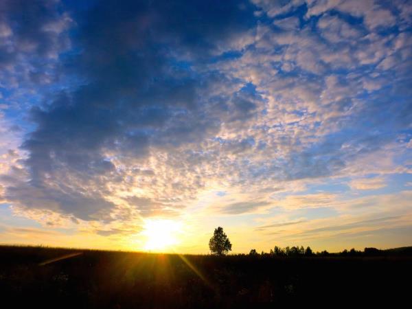 Russia holiday, St Petersburg and Karelia
