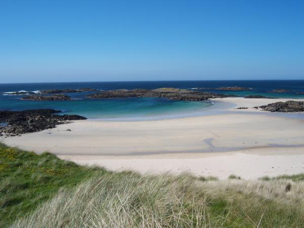 Mull, Iona and Staffa wildlife cruise, Scotland