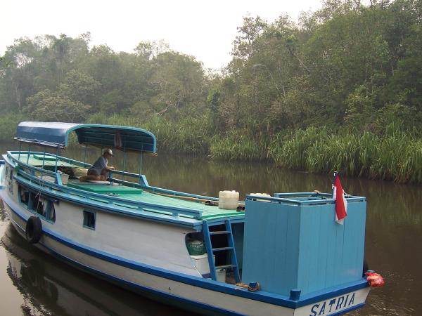 Indonesia holiday, orangutans and culture