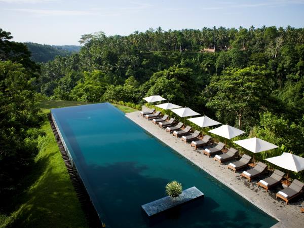 Indonesia holiday, orangutans and culture