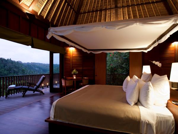 Indonesia holiday, orangutans and culture
