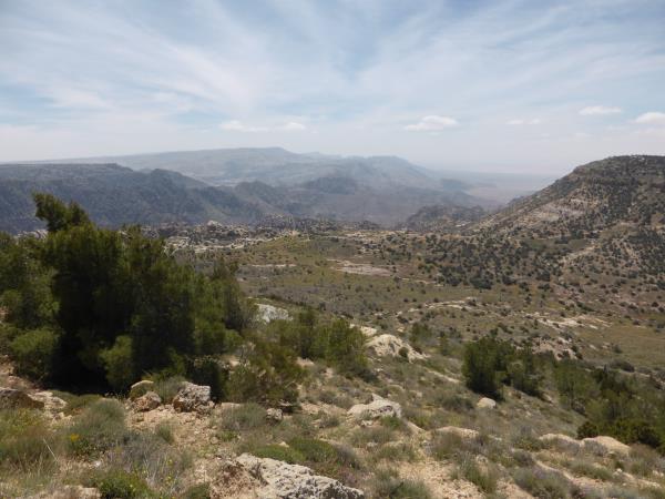 Jordan & Egypt tailor made holiday