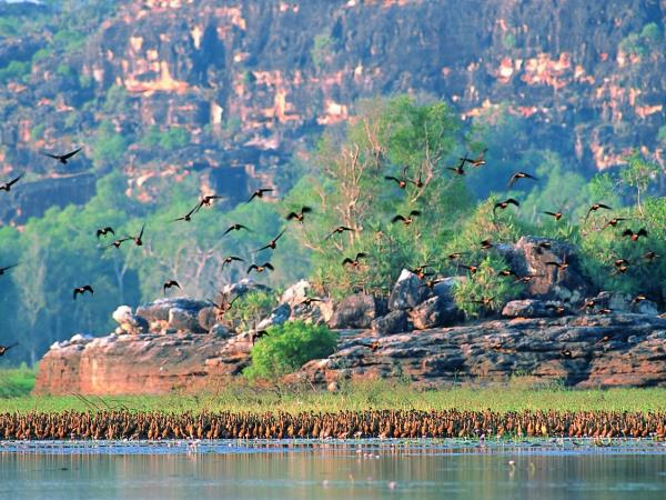 Kakadu and Arnhem Land tours, Australia