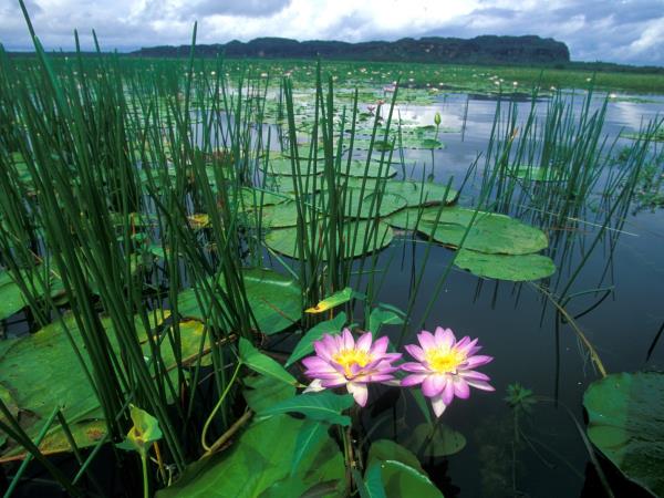 Kakadu and Arnhem Land tours, Australia