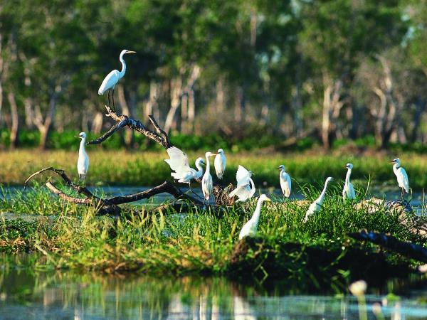 Kakadu and Arnhem Land tours, Australia